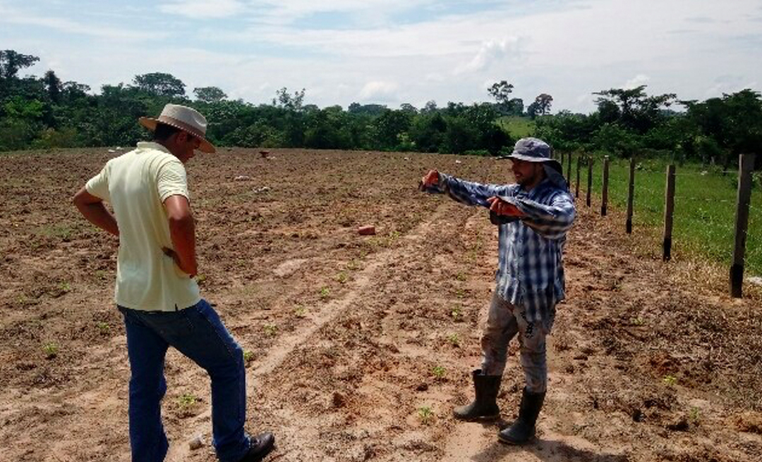 Governo fortalece ações para impulsionar a produção nos municípios do interior