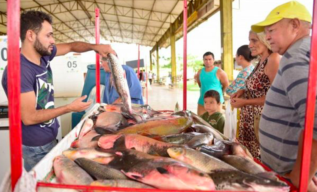 Feira do Peixe e da Agricultura Familiar deve movimentar 420 toneladas de produtos