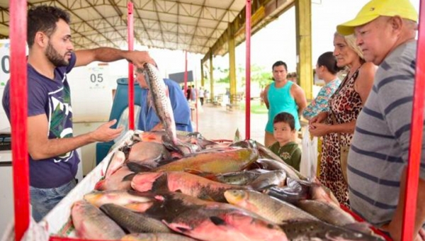 Feira do Peixe e da Agricultura Familiar deve movimentar 420 toneladas de produtos