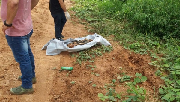 Peritos do IML recolhem ossada humana encontrada em ramal na estrada Transacreana