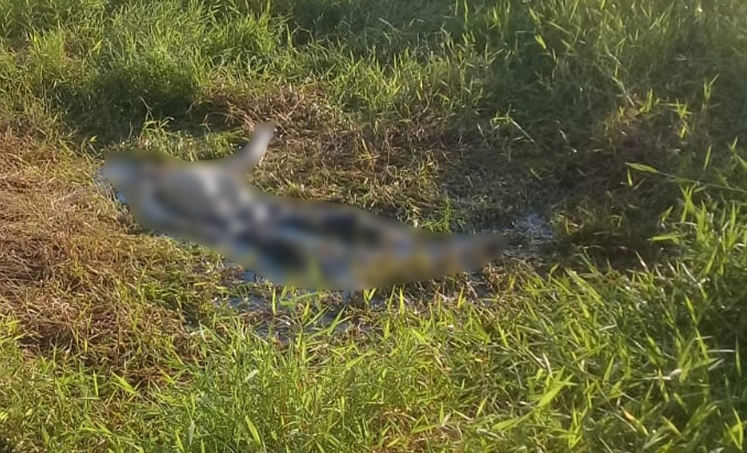 Corpo em decomposição é encontrado no Ramal do Mundico por um peão de fazenda