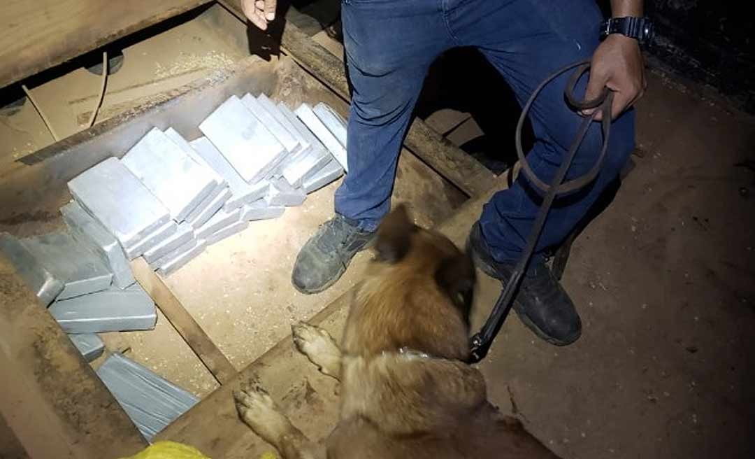 Agentes da Polícia Federal apreendem  60 quilos de cocaína escondida em fundo falso de carreta 