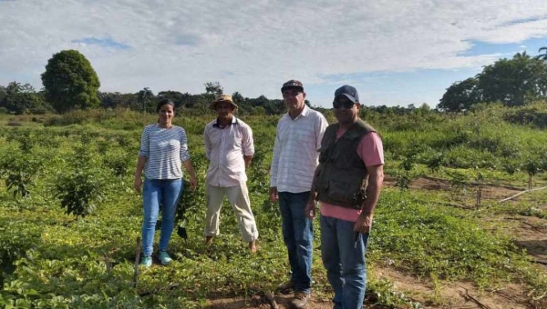 Governo avança na ampliação da assistência técnica rural em Cruzeiro do Sul