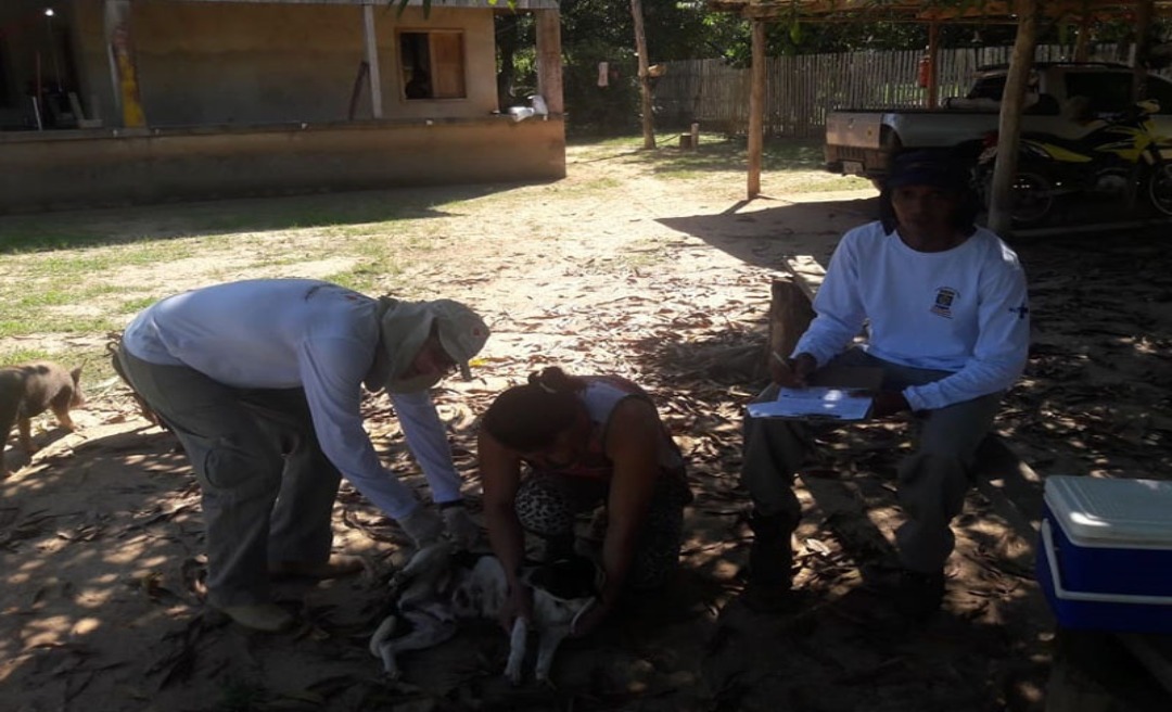 Prefeitura de Rio Branco realiza campanha de Vacinação Antirrábica Canina e Felina