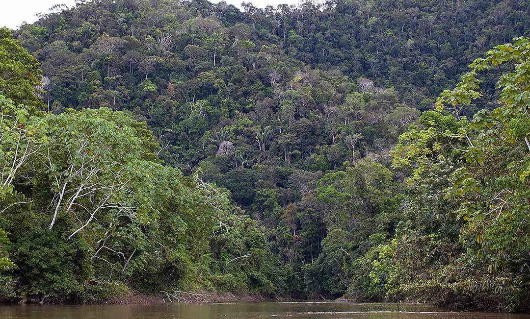 Vidente prevê terremoto na Serra do Moa que afetará toda região do Vale do Juruá