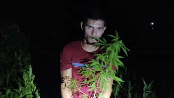 Homem é preso em Marechal Thaumaturgo após plantar maconha no quintal de casa