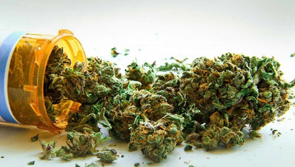 Maconha medicinal coloca governo e famílias de pacientes em lados opostos