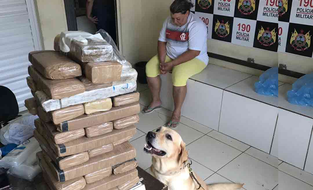 Com ajuda de cão farejador Polícia Militar apreende 30 quilos de maconha no 2° distrito da capital