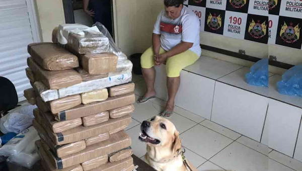 Com ajuda de cão farejador Polícia Militar apreende 30 quilos de maconha no 2° distrito da capital