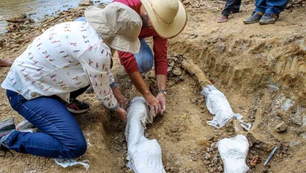 Pescador encontra fóssil de réptil gigante no interior do Acre 