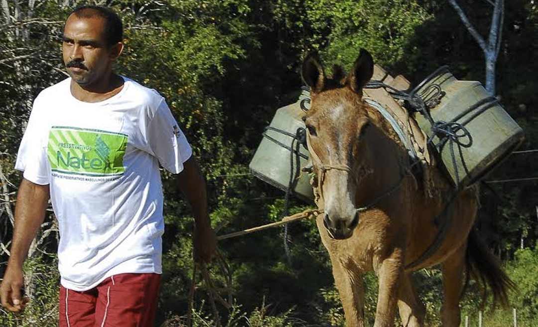 Calote do governo em seringueiros sepulta extrativismo e aumenta desmatamento na Resex Chico Mendes