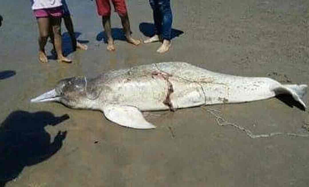 Botos são mortos a golpes de faca no rio Tarauacá, no interior do Esado do Acre