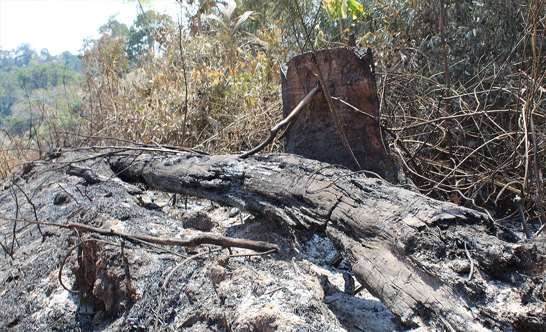 Nos 10 dias de agosto, Acre registra mais de 5 mil focos de incêndio; governo decreta alerta ambiental