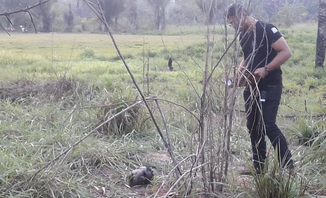 Cabeça de homem que foi decapitado no loteamento Praia do Amapá é encontrada pela polícia