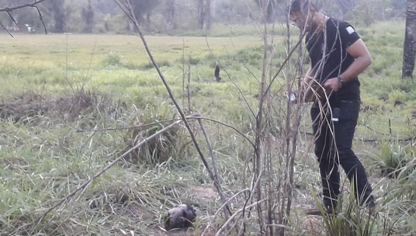 Cabeça de homem que foi decapitado no loteamento Praia do Amapá é encontrada pela polícia