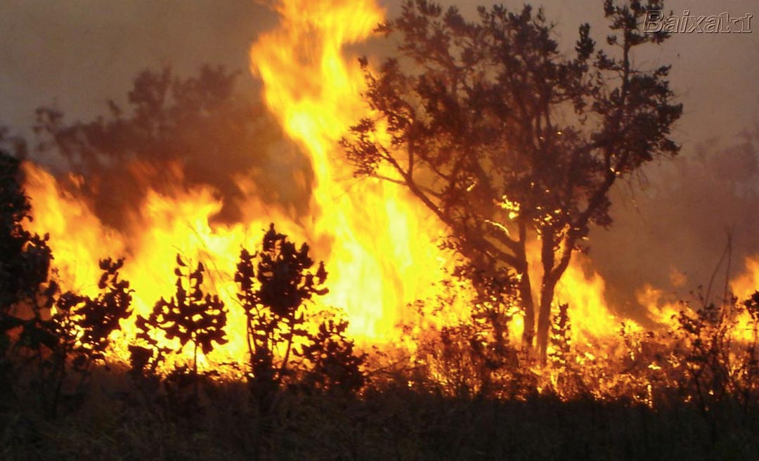 Com queimadas em alta, governo retarda assinatura de alerta ambiental no Acre