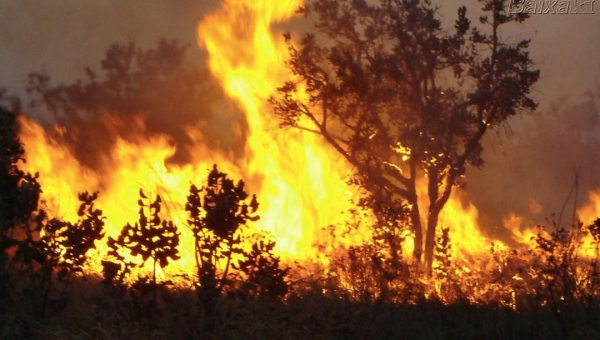 Com queimadas em alta, governo retarda assinatura de alerta ambiental no Acre