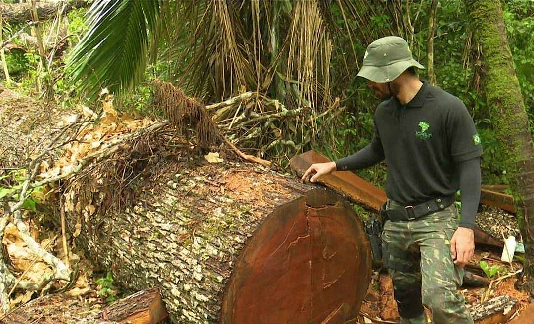 Em julho, desmatamento no Acre cresce 434%; em um ano, variação é de 257%