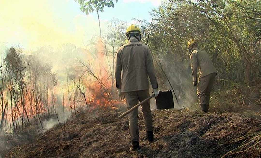 Nos primeiros 20 dias de agosto, Acre registrou 2.186 focos de incêndios, revela dados do Inpe