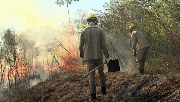 Nos primeiros 20 dias de agosto, Acre registrou 2.186 focos de incêndios, revela dados do Inpe