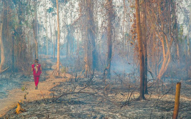 Queimada na Amazônia destrói território a comunidade indígena Huni Kuin no Acre