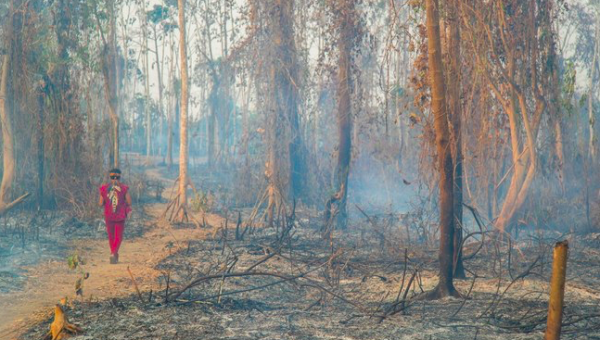 Queimada na Amazônia destrói território a comunidade indígena Huni Kuin no Acre