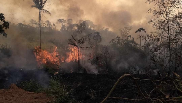 Dados apontam nova fronteira do desmatamento no Acre; áreas preservadas são as mais ameaçadas