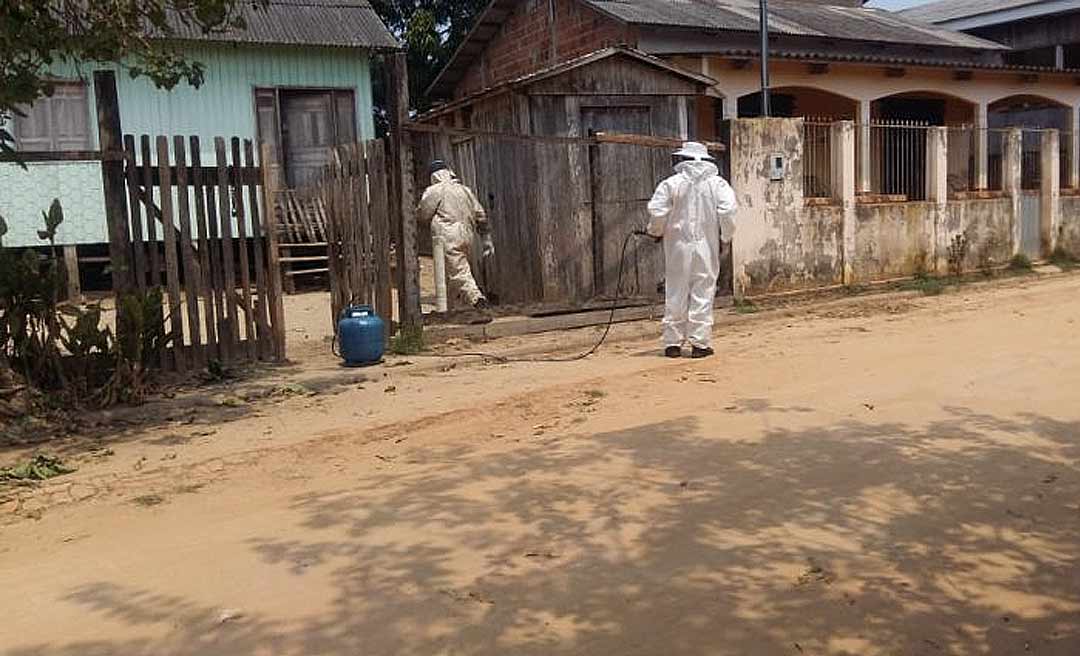 Jovem vai para no hospital em Sena Madureira após ser atacado por abelhas italianas