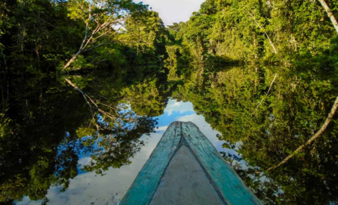 Projeto de cooperação internacional estuda biodiversidade na Amazônia Ocidental