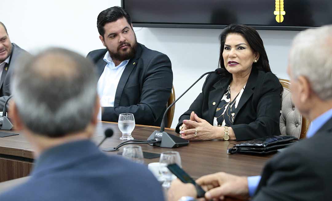 Em Rondônia, Antonia Sales busca aproximação em experiências de desenvolvimento socioeconômico em projetos legislativos