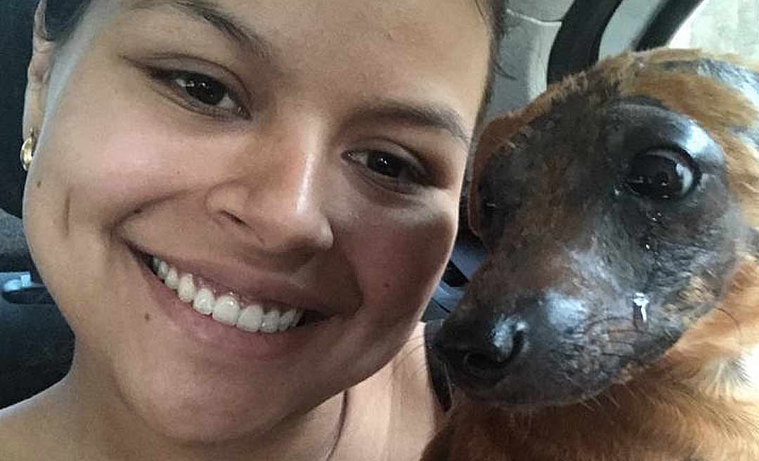 Cãozinho Sebastian chora ao ser adotado e imagem emociona internautas no Acre