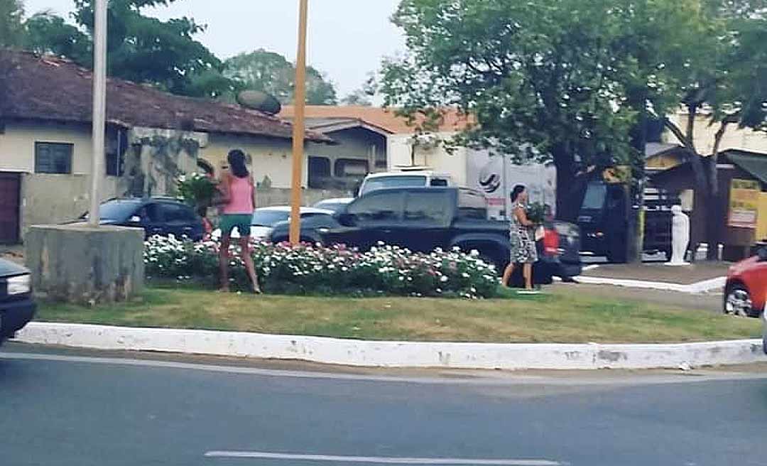 Socorro Neri reclama de roubo de flores dos espaços públicos de Rio Branco: "Que coisa feia!"