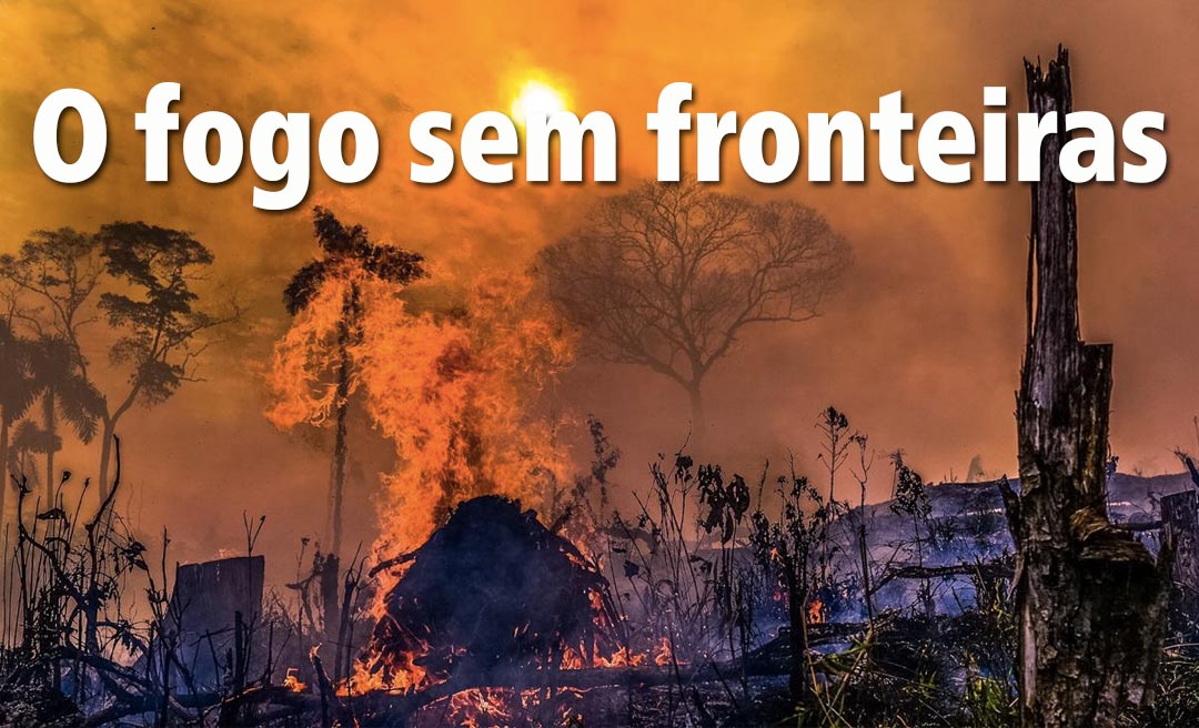 Apagar O Fogo Com Um Balde De água. Incêndios Florestais No Verão