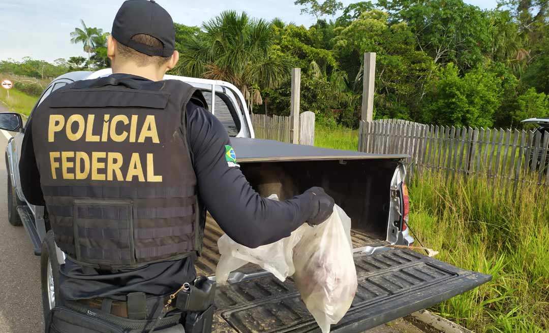 Polícia Federal prende duas pessoas e apreende armas, armadilhas e carne de caça 