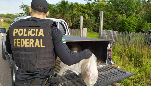 Polícia Federal prende duas pessoas e apreende armas, armadilhas e carne de caça 