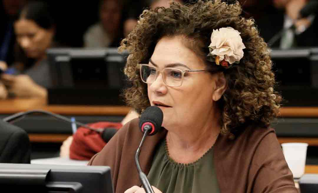 Perpétua garante aprovação de emenda para o monitoramento das fronteiras no Acre