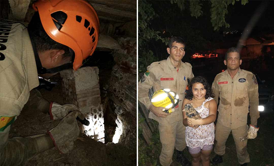 Bombeiros resgatam cãozinho de buraco em terreno no bairro Raimundo Melo, em Rio Branco