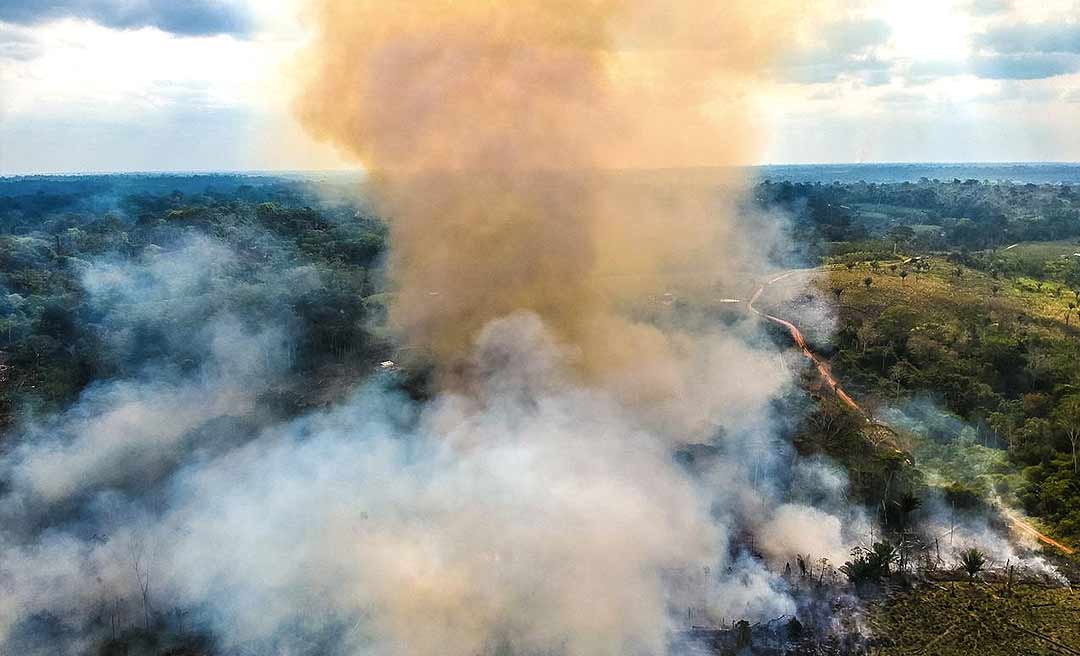 Após 15 anos, Acre volta a registrar níveis recordes de desmatamento