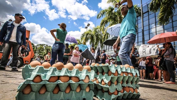 Trabalhadores jogam ovos podres em policiais; deputados também eram alvos