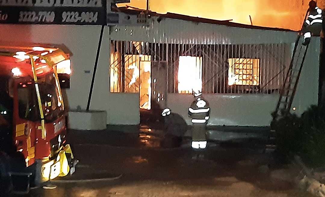 Cachorros e papagaio são resgatados durante incêndio em churrascaria