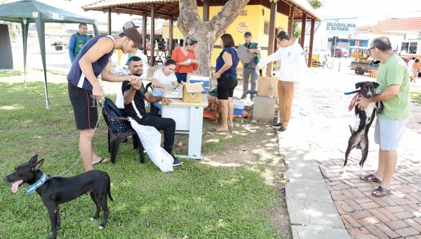 Campanha de vacinação antirrábica da Prefeitura de Rio Branco atende moradores do Castelo Branco