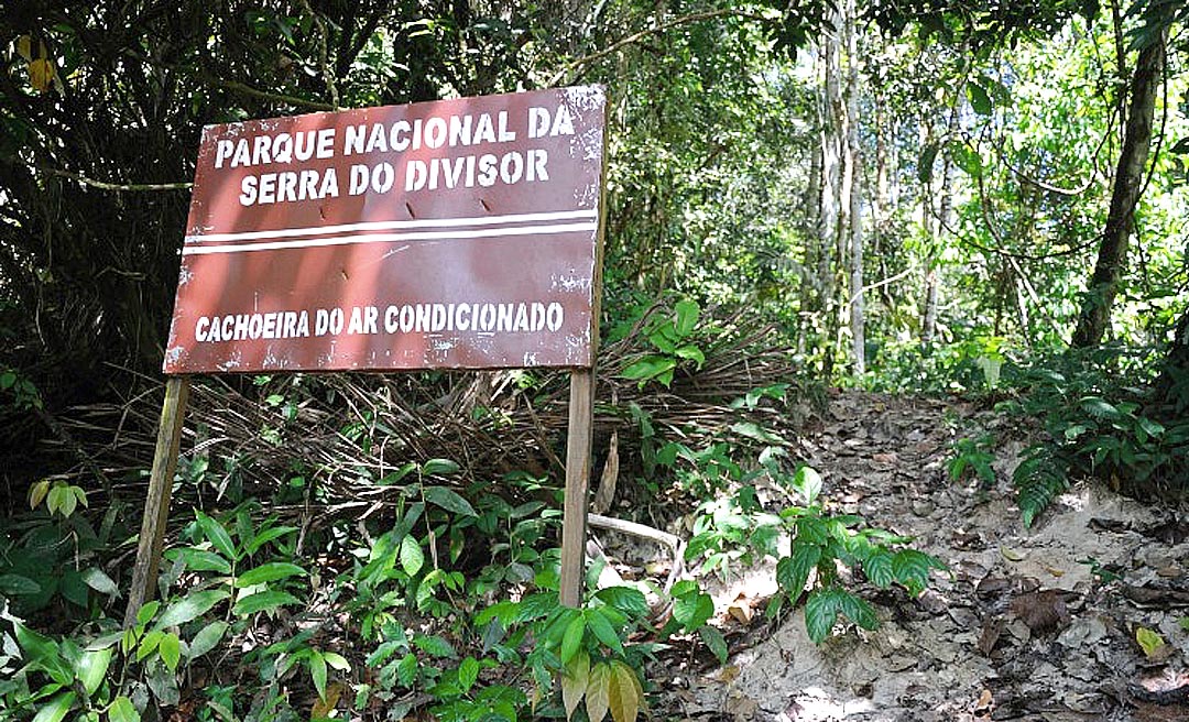 Projeto de lei de Mara Rocha propõe extinção de Parque Nacional da Serra do Divisor