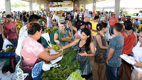 Prefeitura firma parceria com Embrapa e Ipam para elaborar Plano de Agricultura Familiar