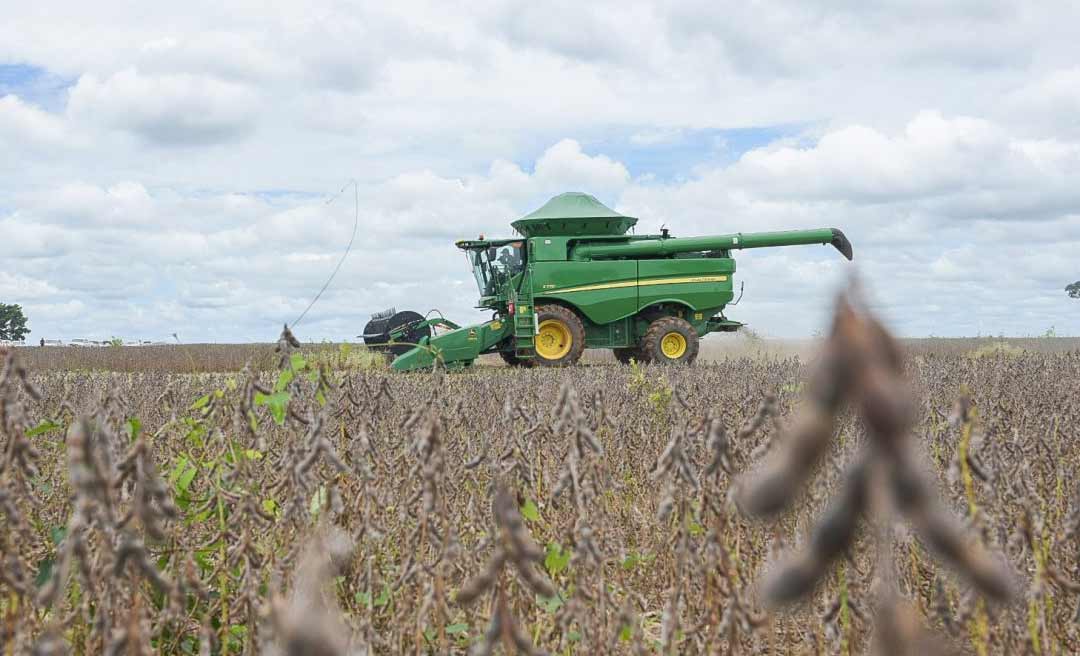 Com incremento da soja, Acre deve ter produção de 131 mil toneladas de grãos em 2020