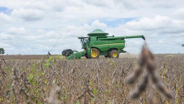 Com incremento da soja, Acre deve ter produção de 131 mil toneladas de grãos em 2020