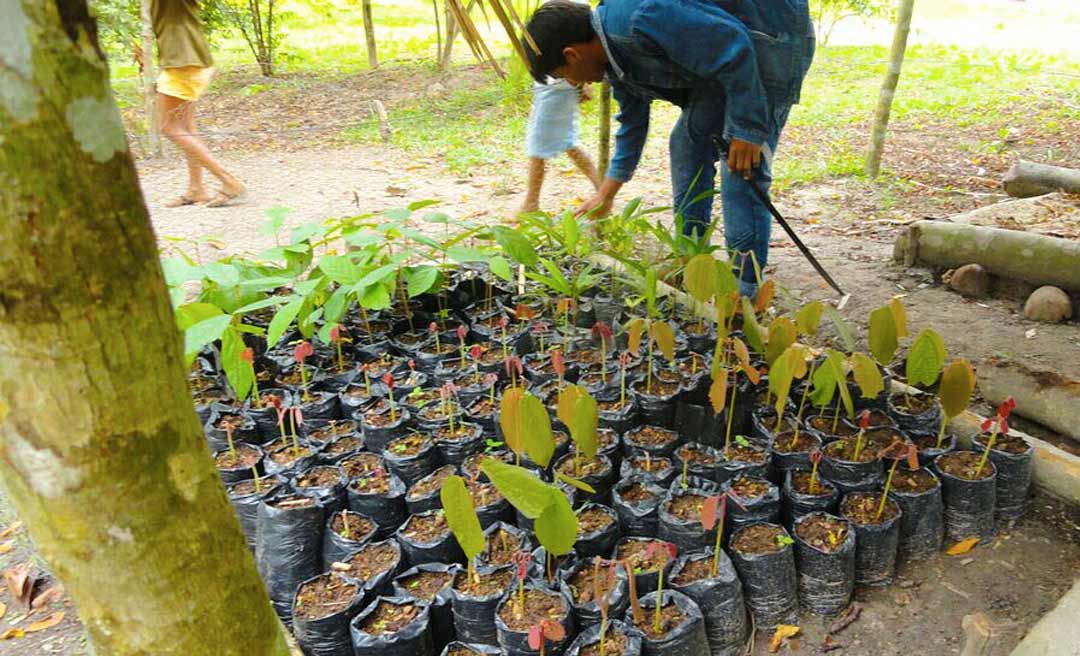 Com o PDSA, governo planeja atingir mais de 6 mil famílias produtoras com fomento no campo