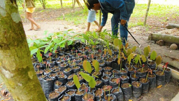 Com o PDSA, governo planeja atingir mais de 6 mil famílias produtoras com fomento no campo