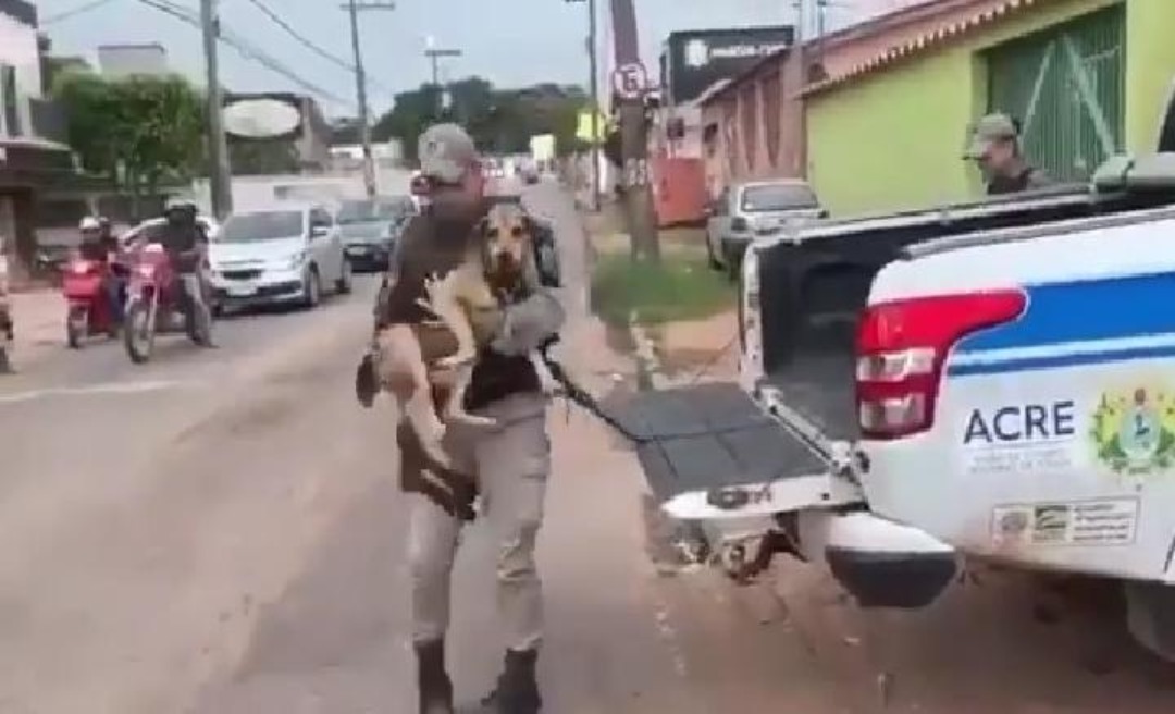 PM's do Acre levam cadelinha doente a clínica veterinária e a adotam como mascote 