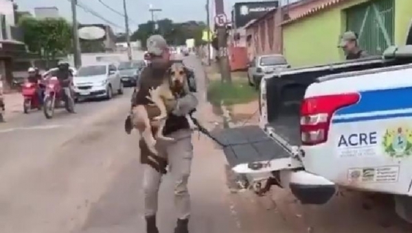 PM's do Acre levam cadelinha doente a clínica veterinária e a adotam como mascote 