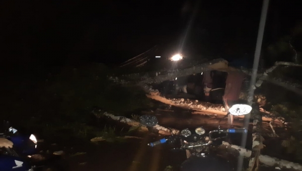 Árvore cai na estrada de Porto Acre e fecha acesso